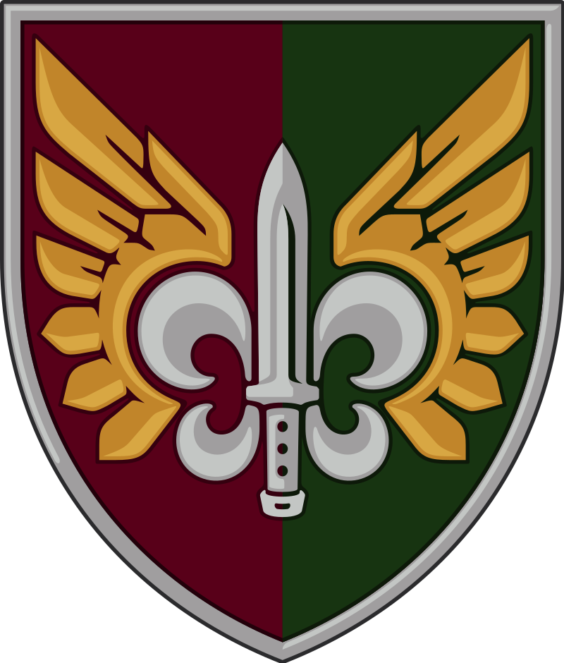 PATCH - 132. Separate reconnaissance battalion Ukraine (with velcro back)